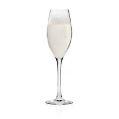 champagne cup wholesale