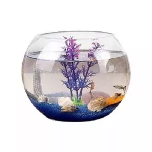 glass fish bowl manufacturer